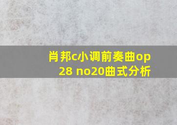 肖邦c小调前奏曲op28 no20曲式分析